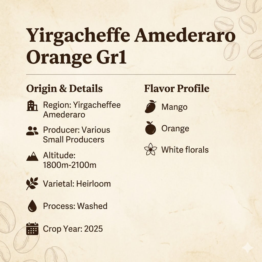 JPRESSO Coffee Bean Ethiopia Yirgacheffe Amederaro | Arabica Bean | Filter Roast | Fresh Roasted