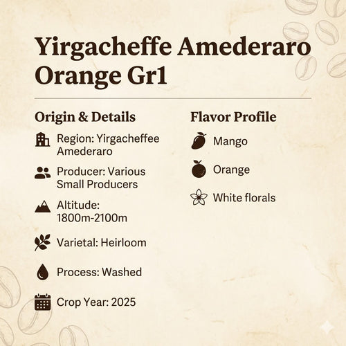 JPRESSO Coffee Bean Ethiopia Yirgacheffe Amederaro | Arabica Bean | Filter Roast | Fresh Roasted